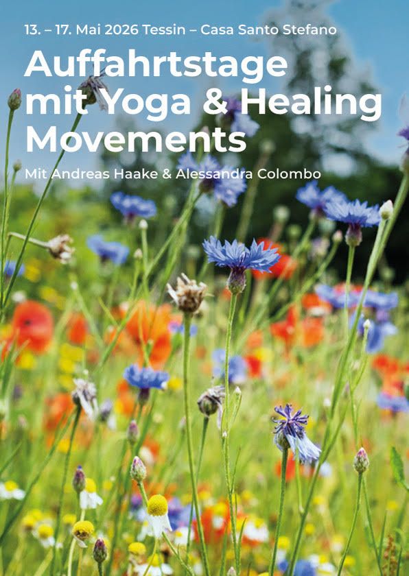 images/angebote/2024/T1-Casa_Auffahrt_2400x1350.jpg#joomlaImage://local-images/angebote/2024/T1-Casa_Auffahrt_2400x1350.jpg?width=2400&height=1350